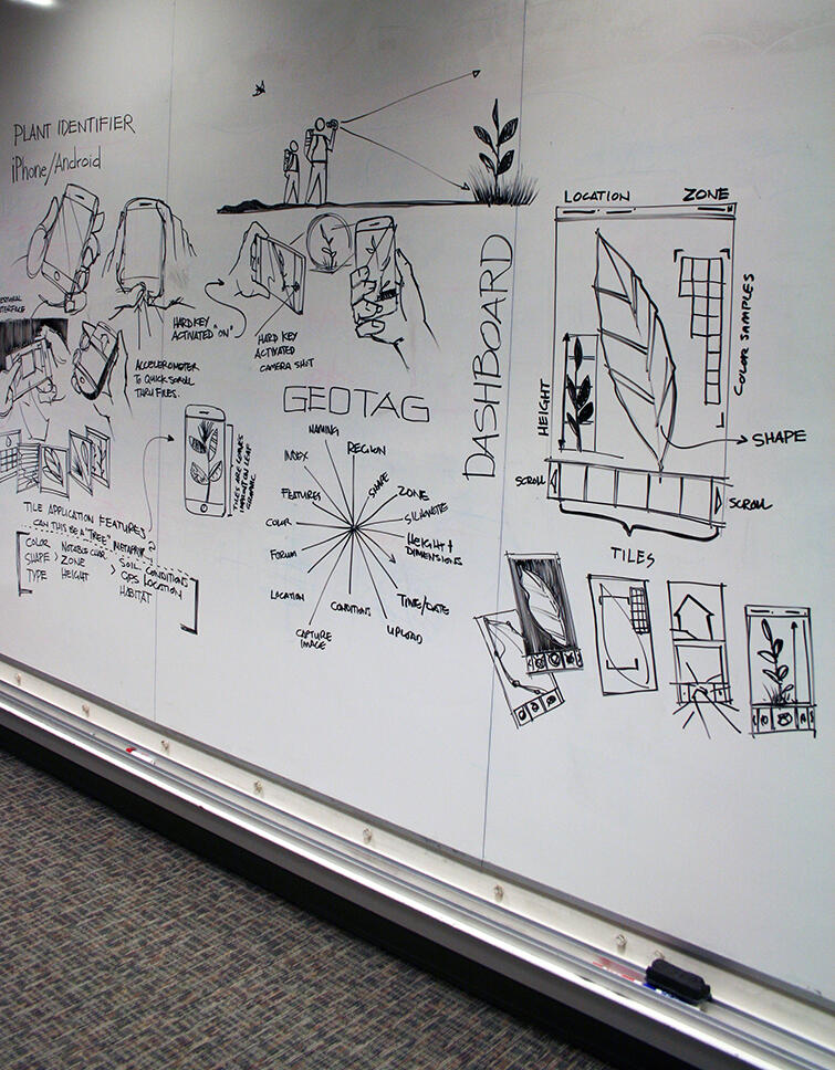 Sketches for a mobile application are drawn in black marker on a whiteboard in a meeting room.