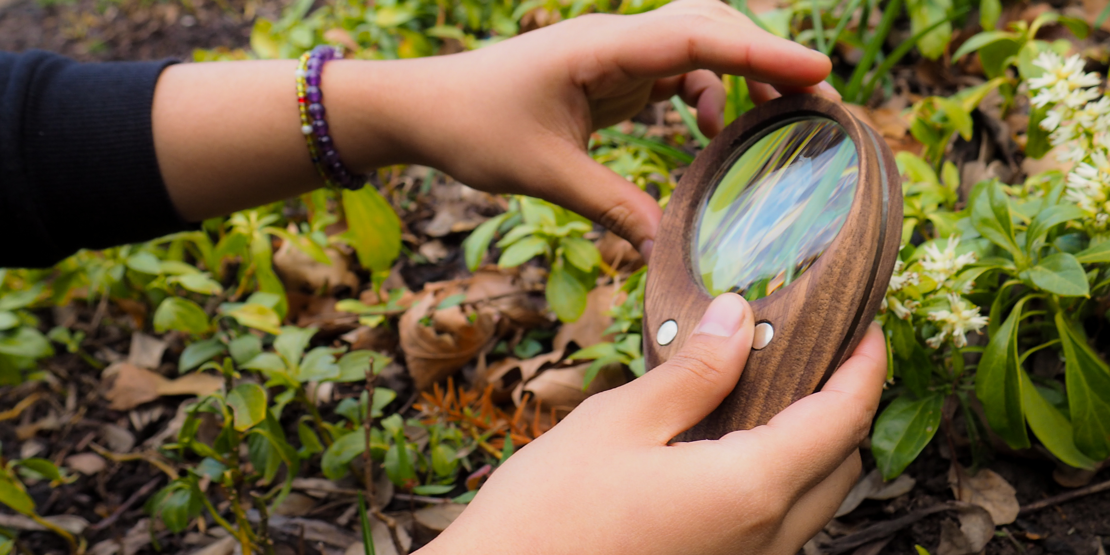 A custom magnifying glass