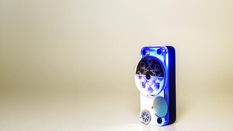 The Neerja flashlight