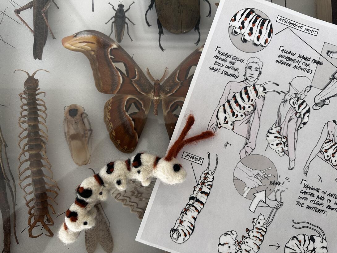 A sketchbook with a collection of rare bugs